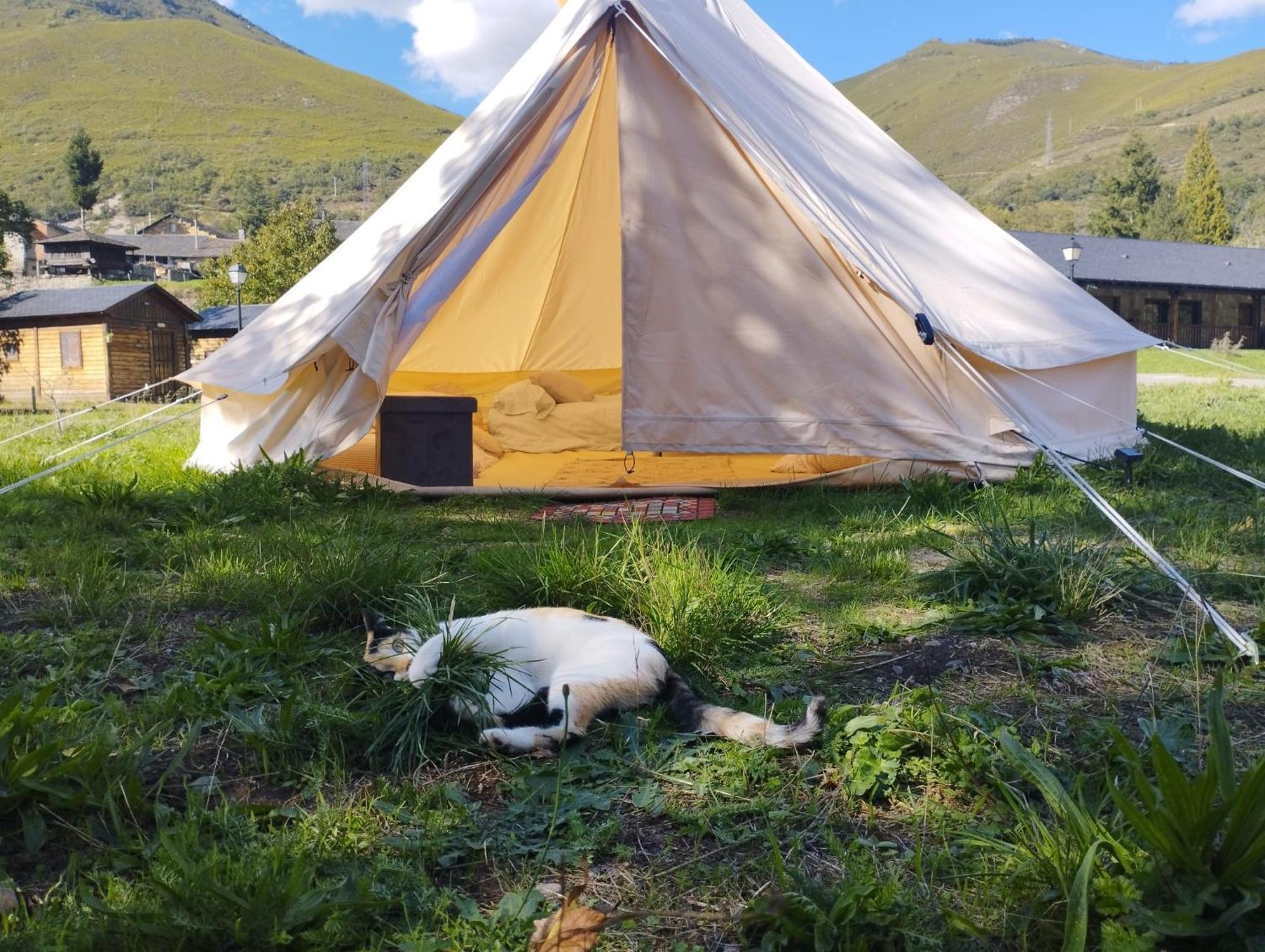 Camping La Zarapica - Palacios Del Sil Exterior photo